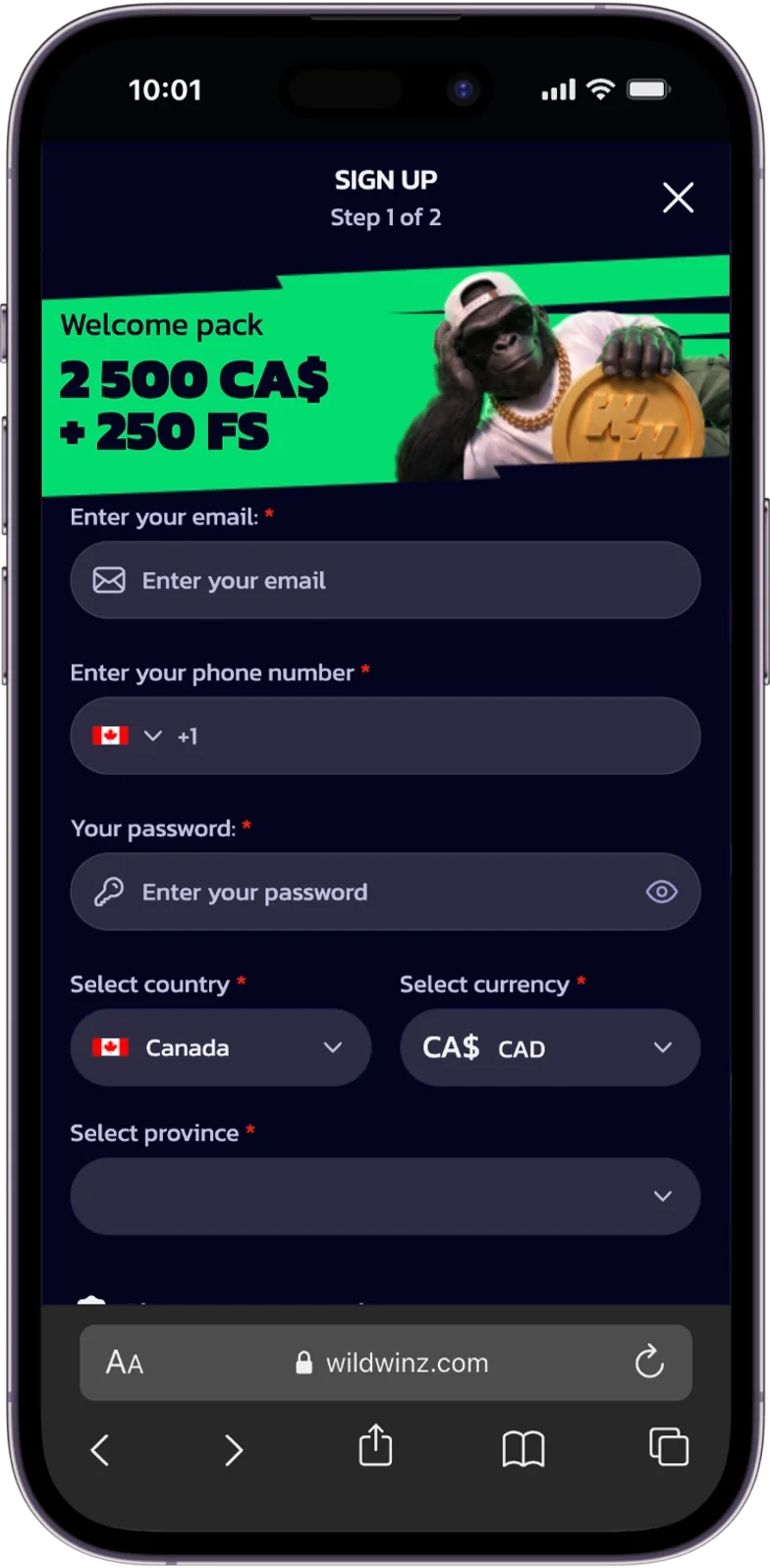 Registration at WildWinz Casino